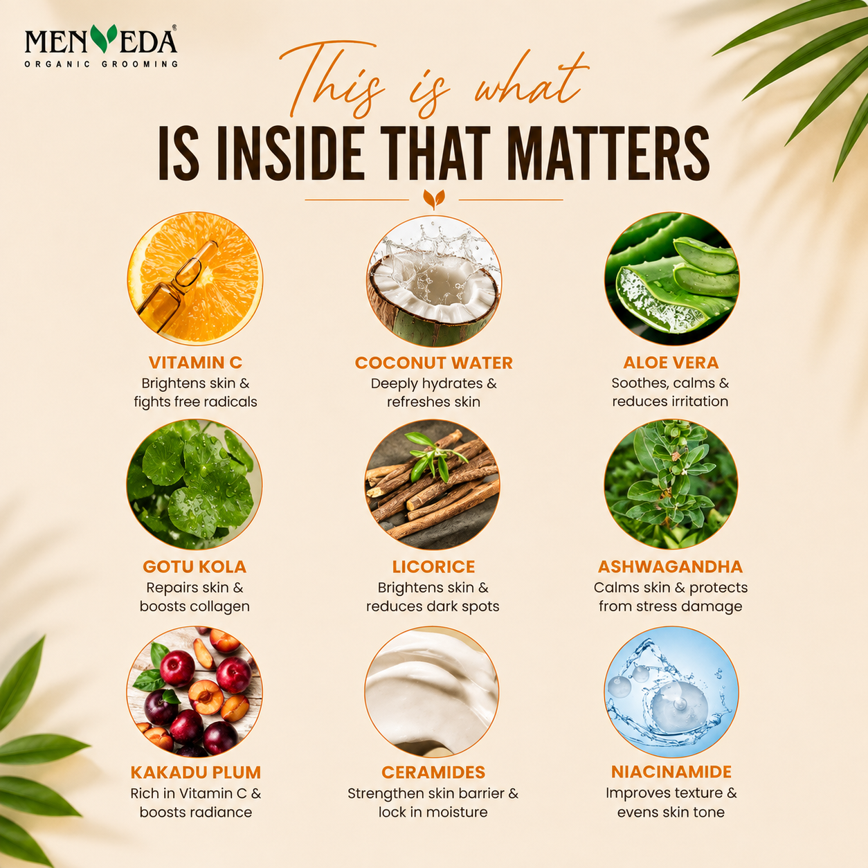 Vitamin C UV Protector Sunscreen SPF 50 PA+++ | Niacinamide, Coconut Water & Licorice
